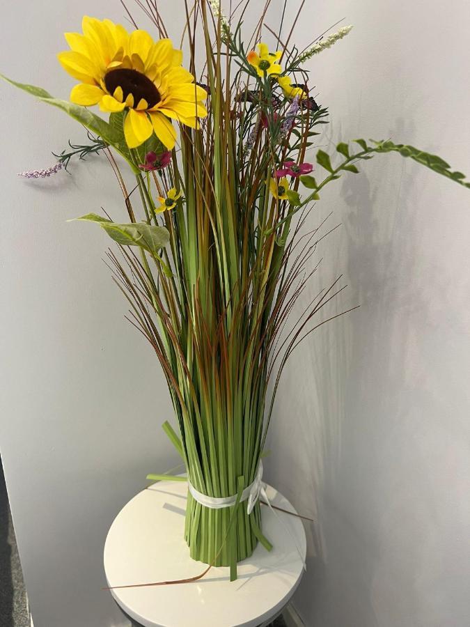 Friern Barnet Apartment Luxe Free Wifi, Free Parking, Free Netflix מראה חיצוני תמונה
